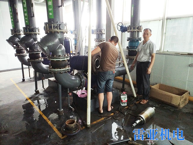 長沙旺德府實業(yè)屏蔽水泵2
