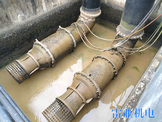 茶陵排污泵站水泵維修6